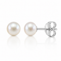 7 MMRD Classic Pearl Stud Earrings- White Gold