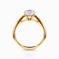 Cathedral Knife Edge Solitaire Ring in Yellow Gold