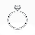 Hidden Diamond Halo Engagement Ring in White Gold