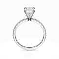 Petite Pave Diamond Engagement Ring in White Gold (0.32 Carat)