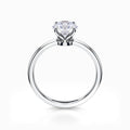 Royal Solitaire Engagement Ring in Platinum