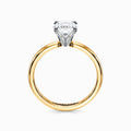 Classic Solitaire Engagement Ring in Yellow Gold