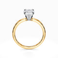 Comfort-Fit Solitaire Engagement Ring in Yellow Gold (2 mm)