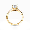 Petite Cathedral Solitaire Engagement Ring in Yellow Gold
