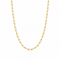 14K Semi- Hollow Gold Paperclip Necklace