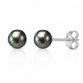 Tahitian Pearl Stud Earrings