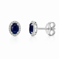Oval Sapphire Halo Stud Earrings